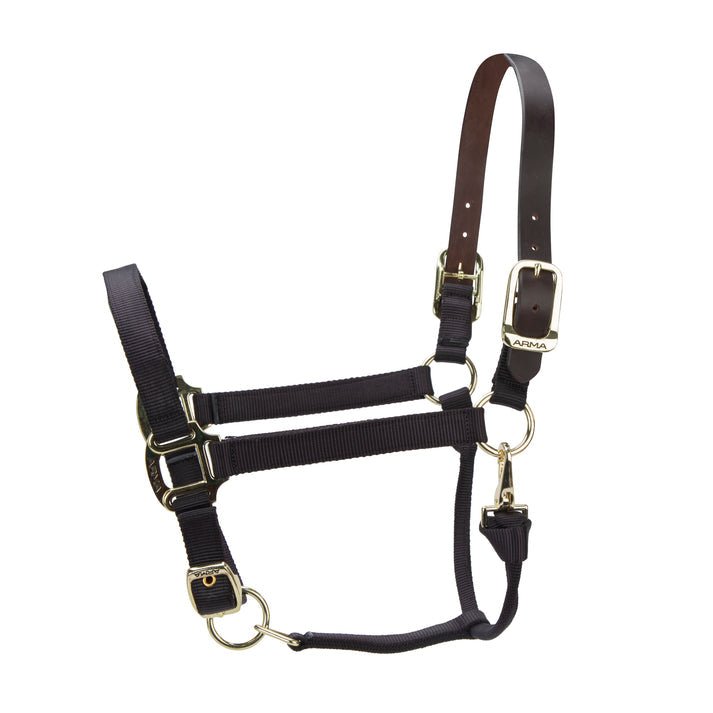 ARMA Premium Adjustable FieldSafe Headcollar - Nags Essentials