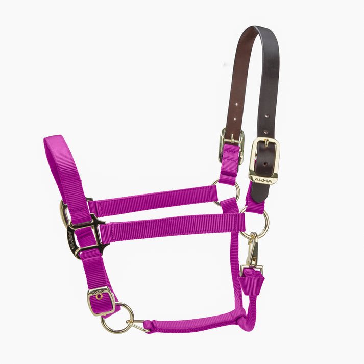ARMA Premium Adjustable FieldSafe Headcollar - Nags Essentials