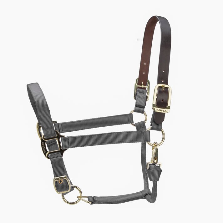 ARMA Premium Adjustable FieldSafe Headcollar - Nags Essentials