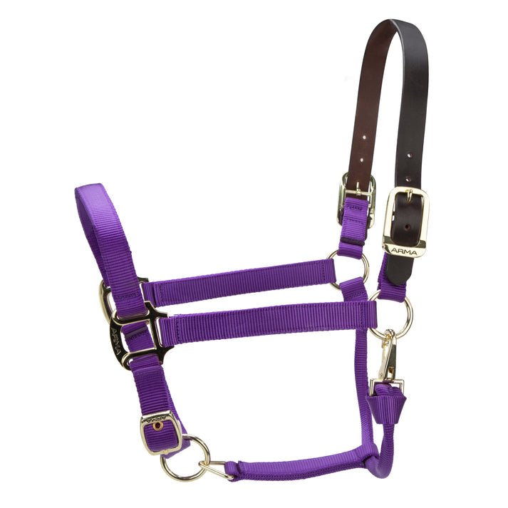 ARMA Premium Adjustable FieldSafe Headcollar - Nags Essentials