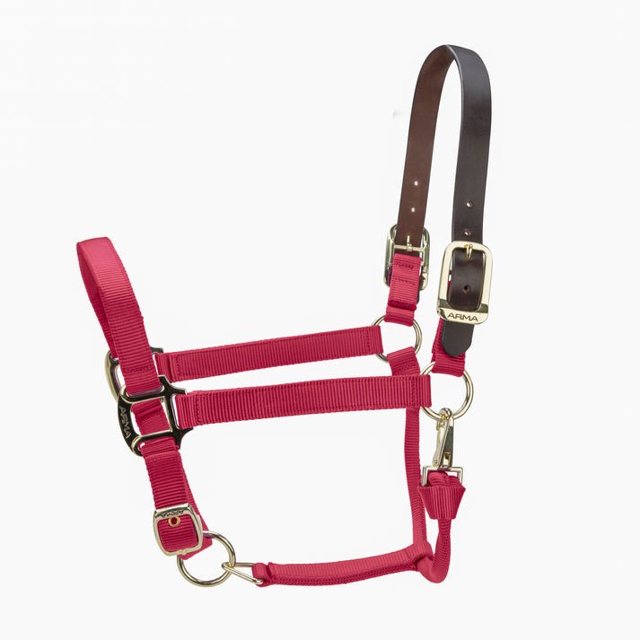 ARMA Premium Adjustable FieldSafe Headcollar - Nags Essentials