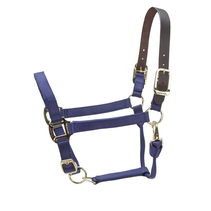 ARMA Premium Adjustable FieldSafe Headcollar - Nags Essentials