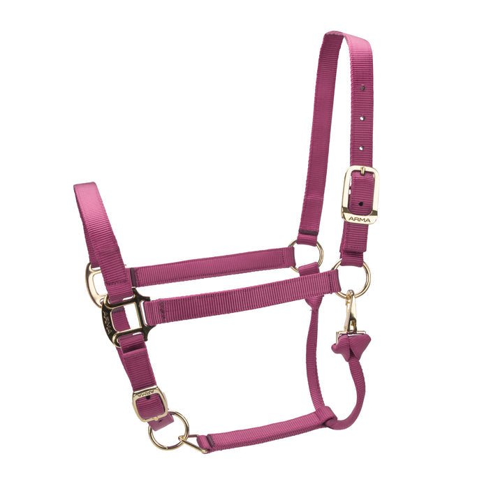 ARMA Premium Adjustable Headcollar - Nags Essentials