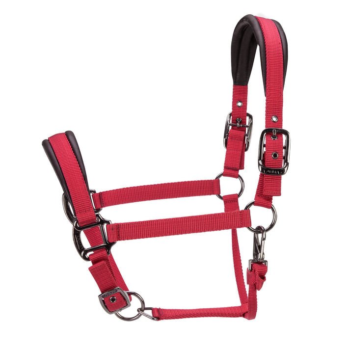 ARMA Pro Padded Headcollar - Nags Essentials