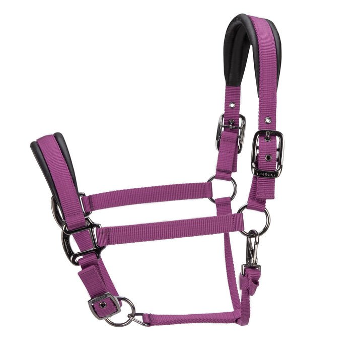 ARMA Pro Padded Headcollar - Nags Essentials