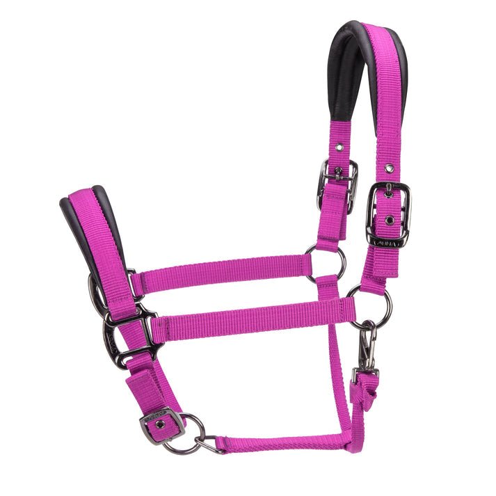 ARMA Pro Padded Headcollar - Nags Essentials
