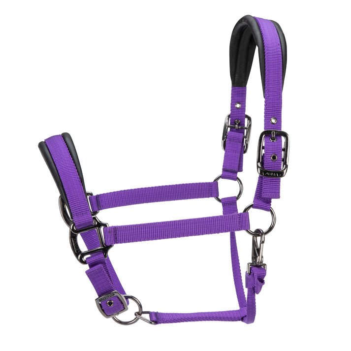 ARMA Pro Padded Headcollar - Nags Essentials