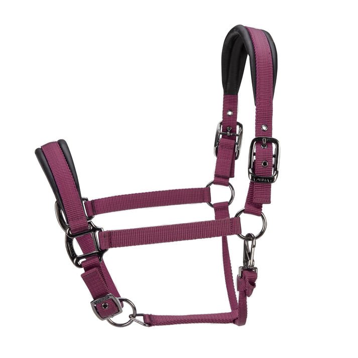ARMA Pro Padded Headcollar - Nags Essentials