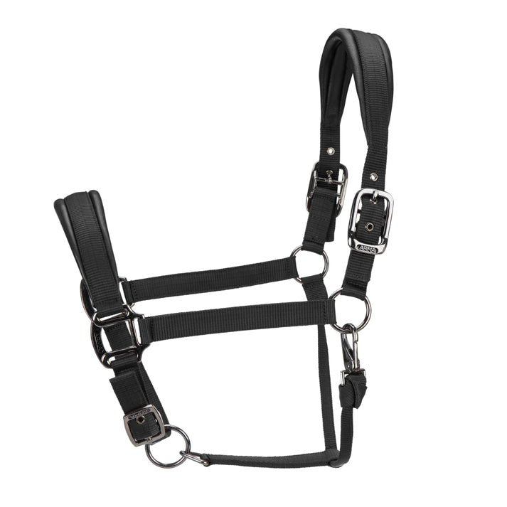 ARMA Pro Padded Headcollar - Nags Essentials