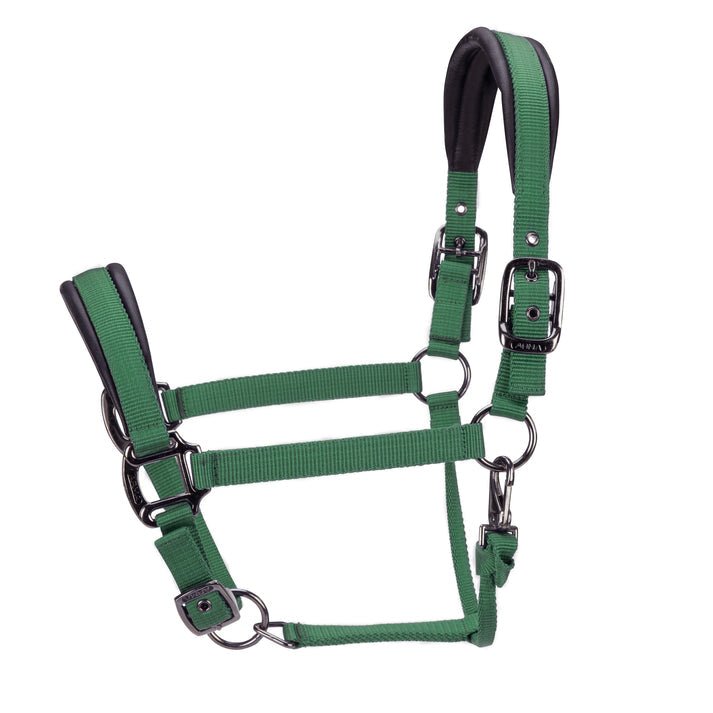 ARMA Pro Padded Headcollar - Nags Essentials
