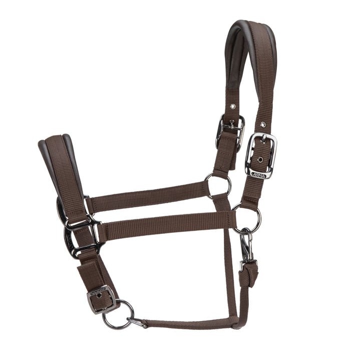 ARMA Pro Padded Headcollar - Nags Essentials
