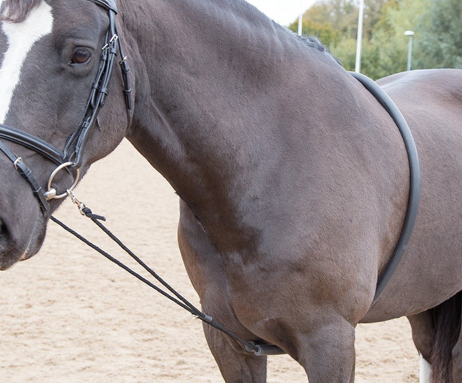ARMA Soft Lunging Aid - Nags Essentials