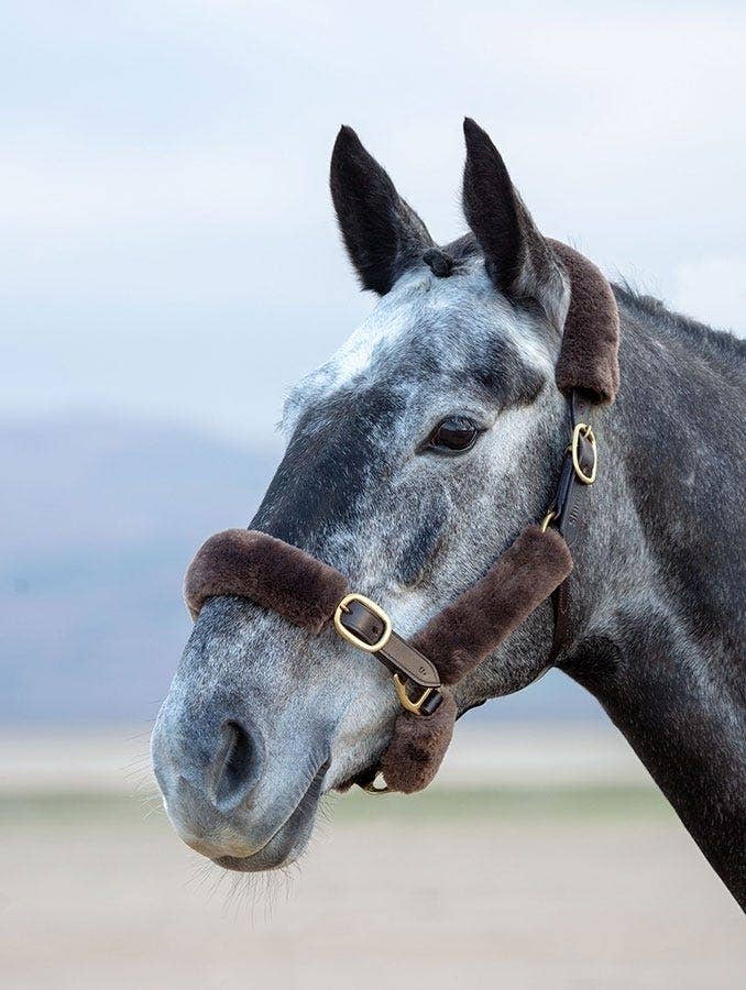 ARMA SupaFleece Halter Fleeces - Nags Essentials