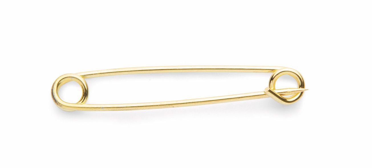 Aubrion Plain Gold Plated Stock Pin - Nags Essentials