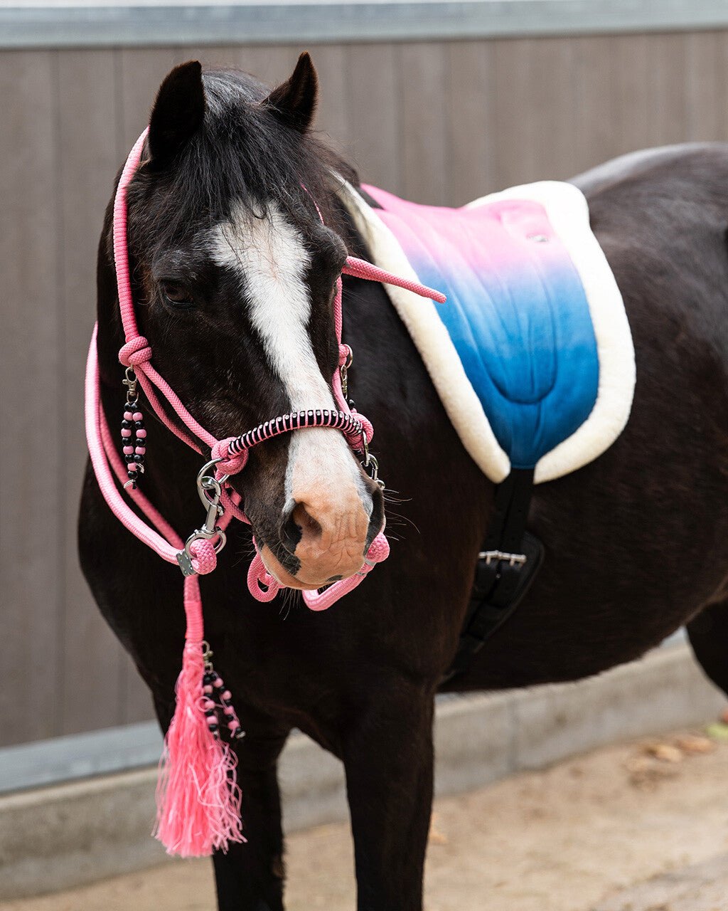 Bareback pad Rosalynn - Nags Essentials