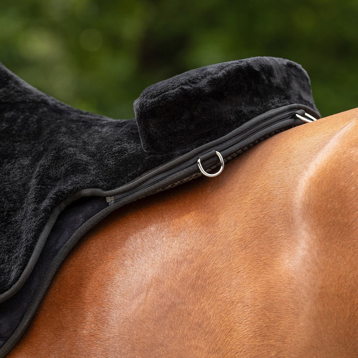 Bareback pad super soft Black - Nags Essentials