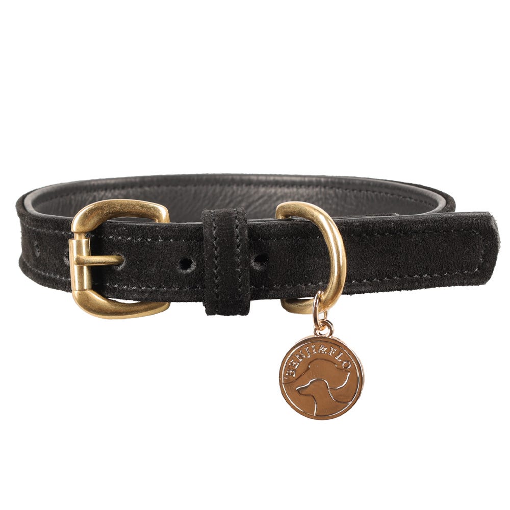 Benji &amp; Flo Noble Suede Dog Collar - Nags Essentials