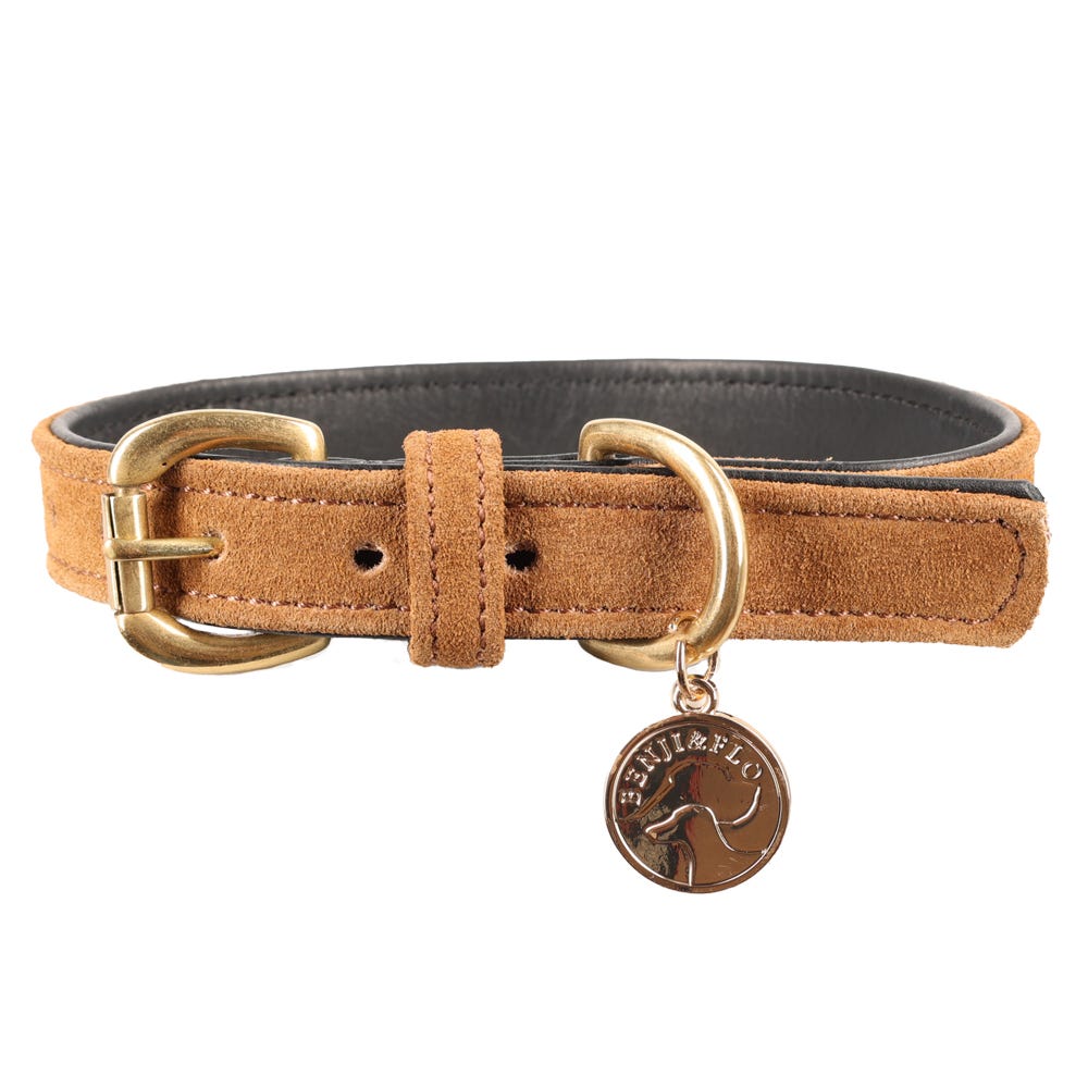 Benji & Flo Noble Suede Dog Collar - Nags Essentials