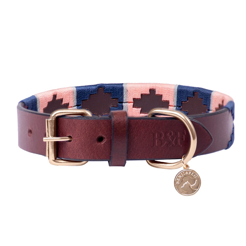 Benji & Flo Sublime Polo Leather Dog Collar - Nags Essentials