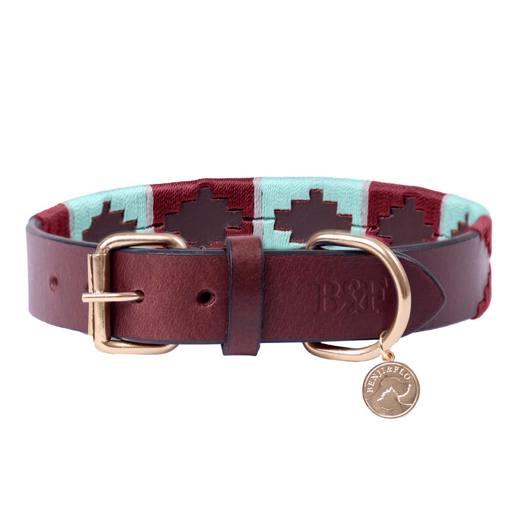 Benji & Flo Sublime Polo Leather Dog Collar - Nags Essentials