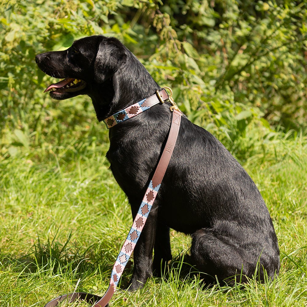 Benji & Flo Sublime Polo Leather Dog Lead - Nags Essentials