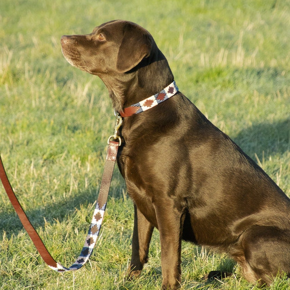 Benji & Flo Sublime Polo Leather Dog Lead - Nags Essentials