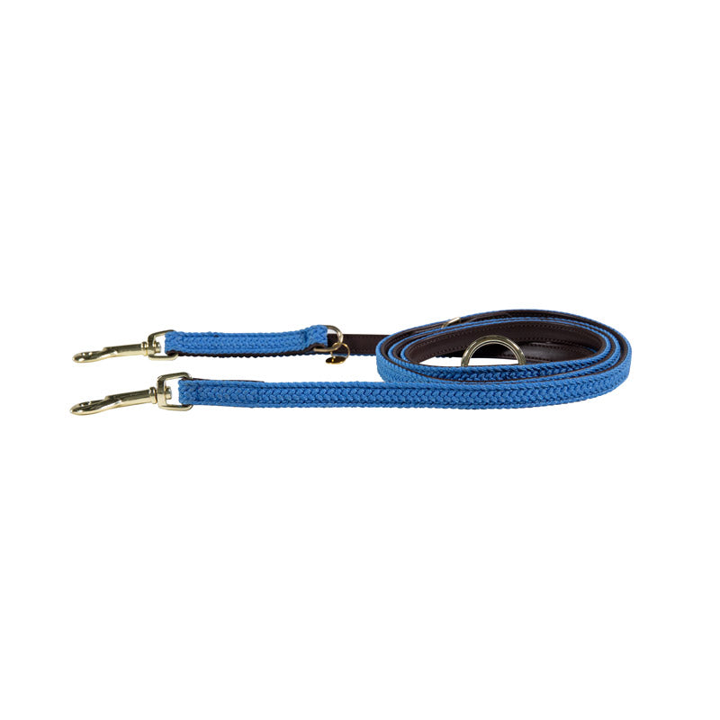 Kentucky Plaited Dog Lead