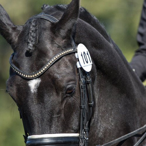 Bridle Dressage Numbers - Pairs - Nags Essentials