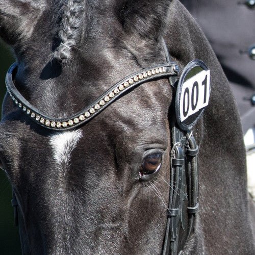 Bridle Dressage Numbers - Pairs - Nags Essentials