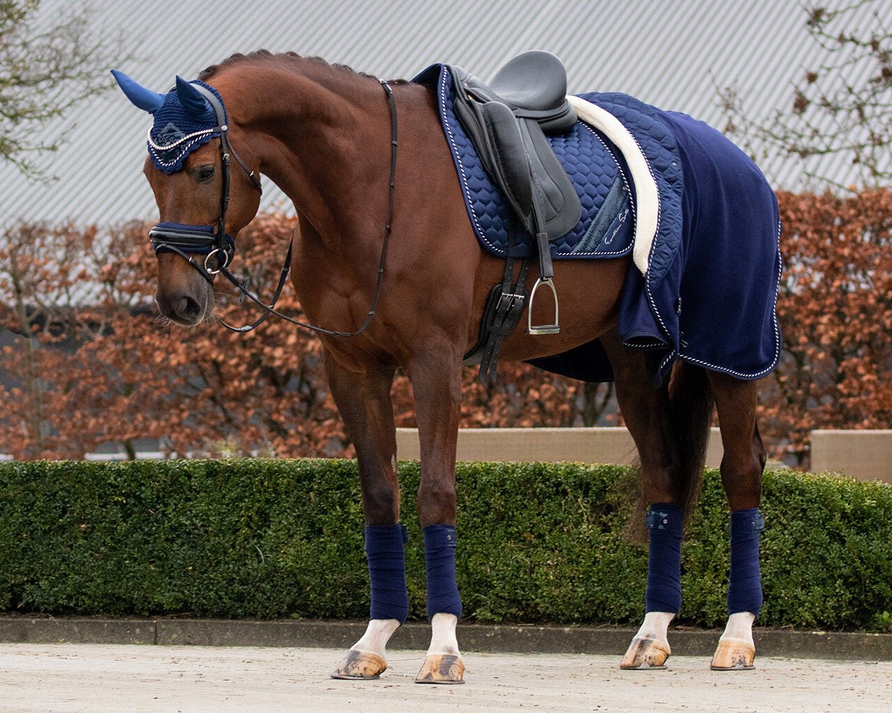 Brilliance Show Rug - Nags Essentials