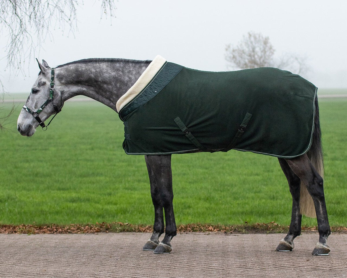Brilliance Show Rug DEEP FOREST - Nags Essentials