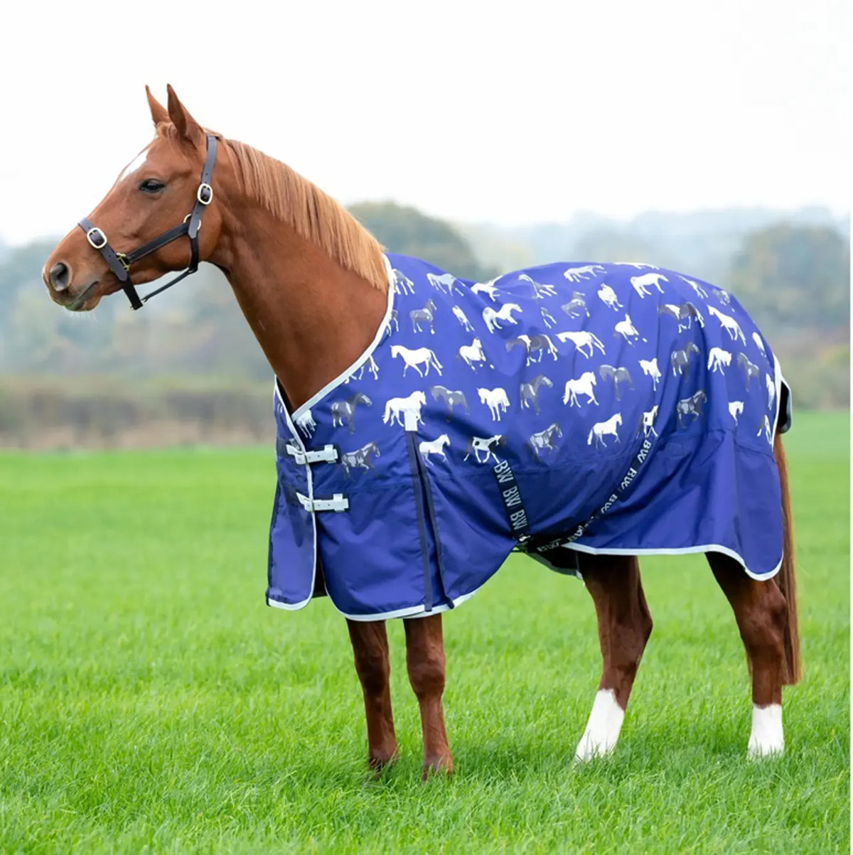 Bridleway Ontario Lite Turnout Rug Horse Print