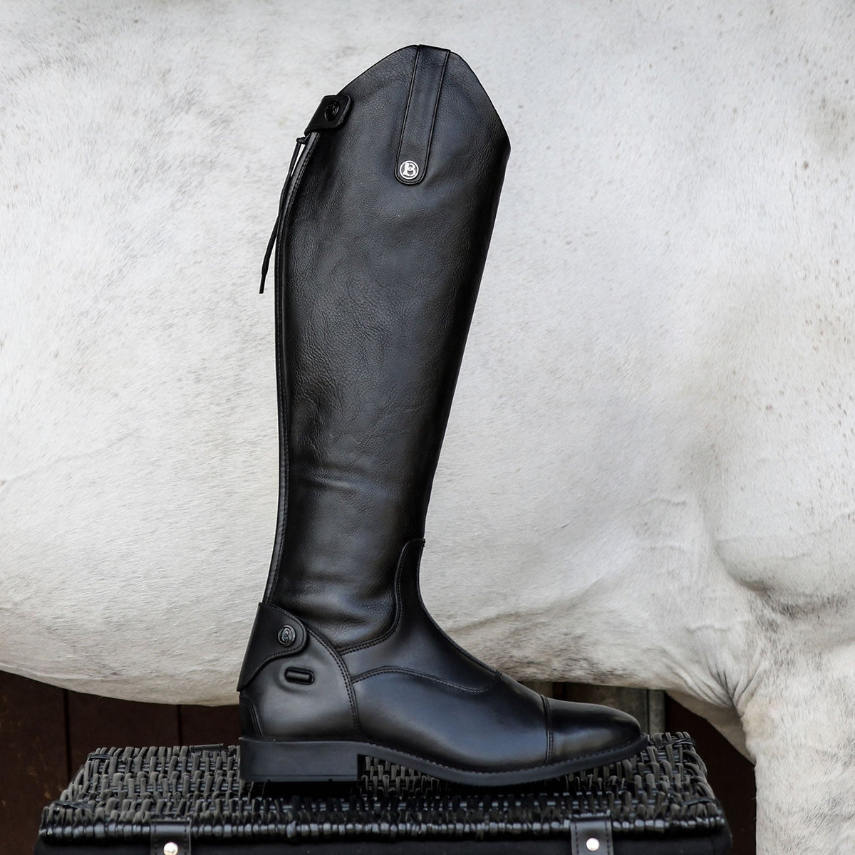 Brogini Casperia V2 3D Stretch Boots - Nags Essentials