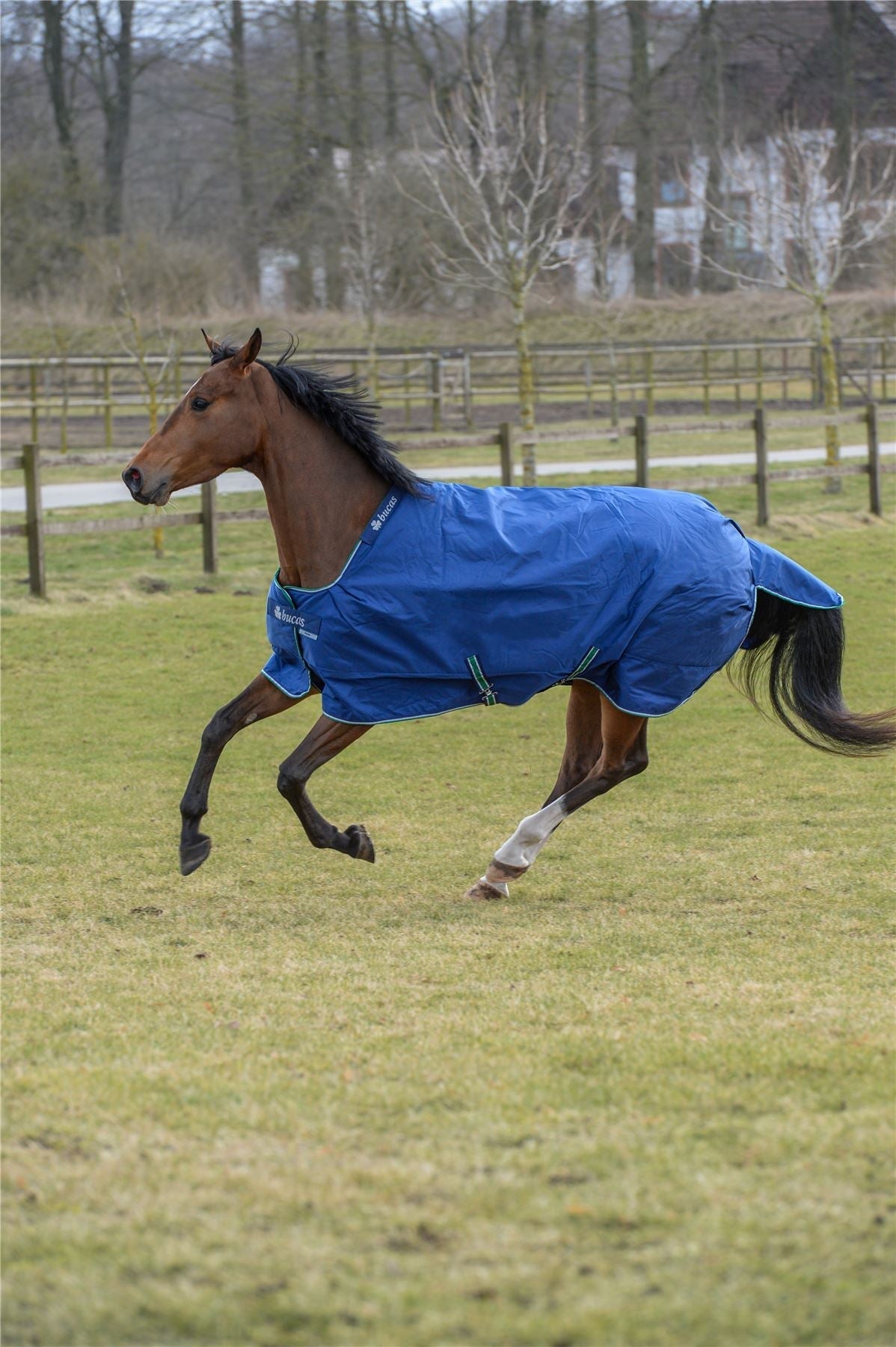 Bucas Smartex Extra 300g Turnout Rug - Nags Essentials