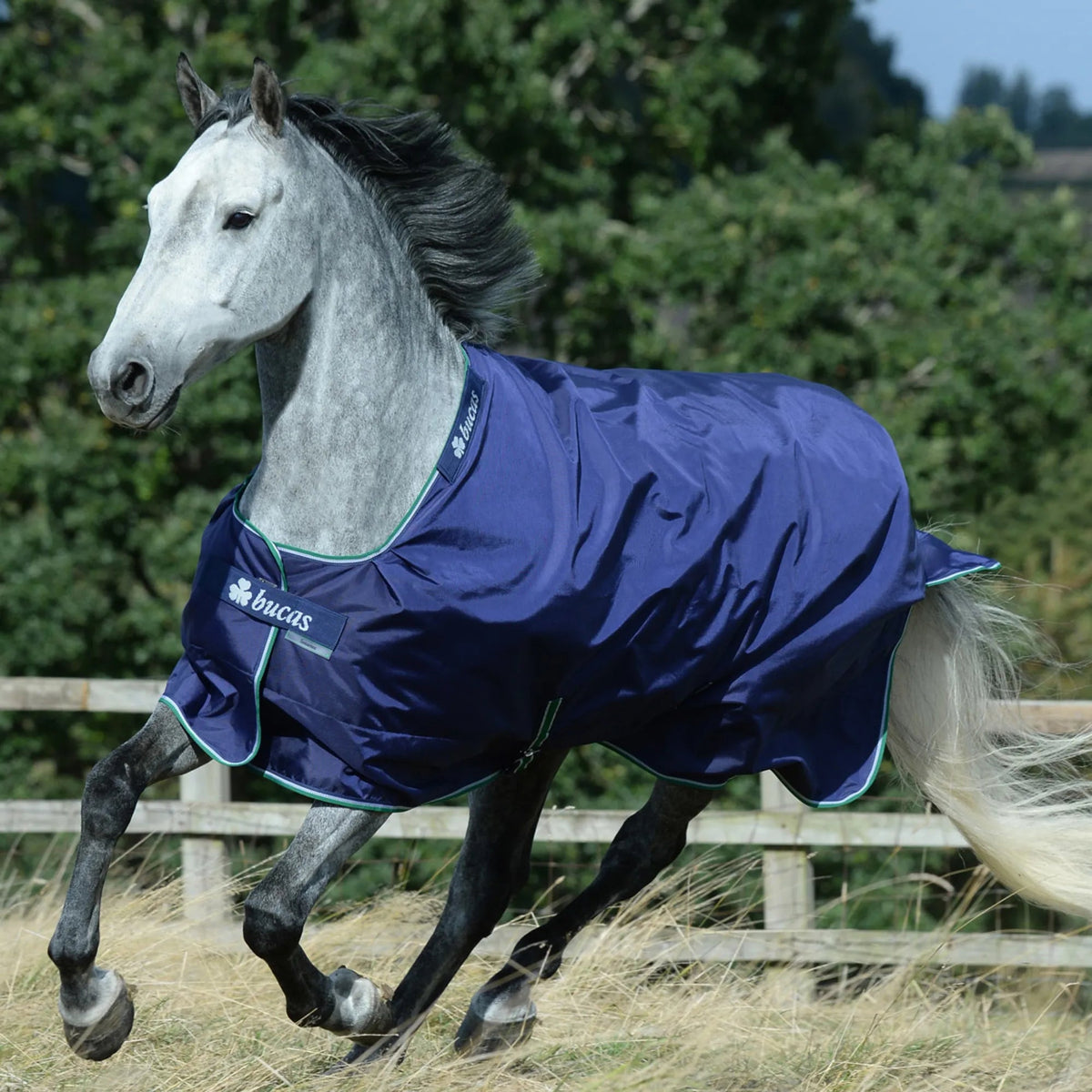 Bucas Smartex Rain 0g Turnout Rug - Nags Essentials