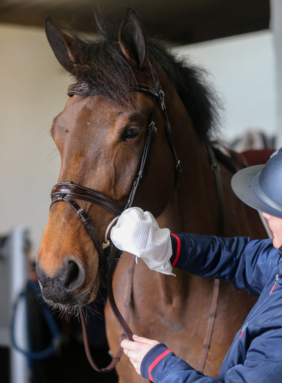 Carr & Day & Martin Belvoir Step 1 Cleaning Mitt - Nags Essentials