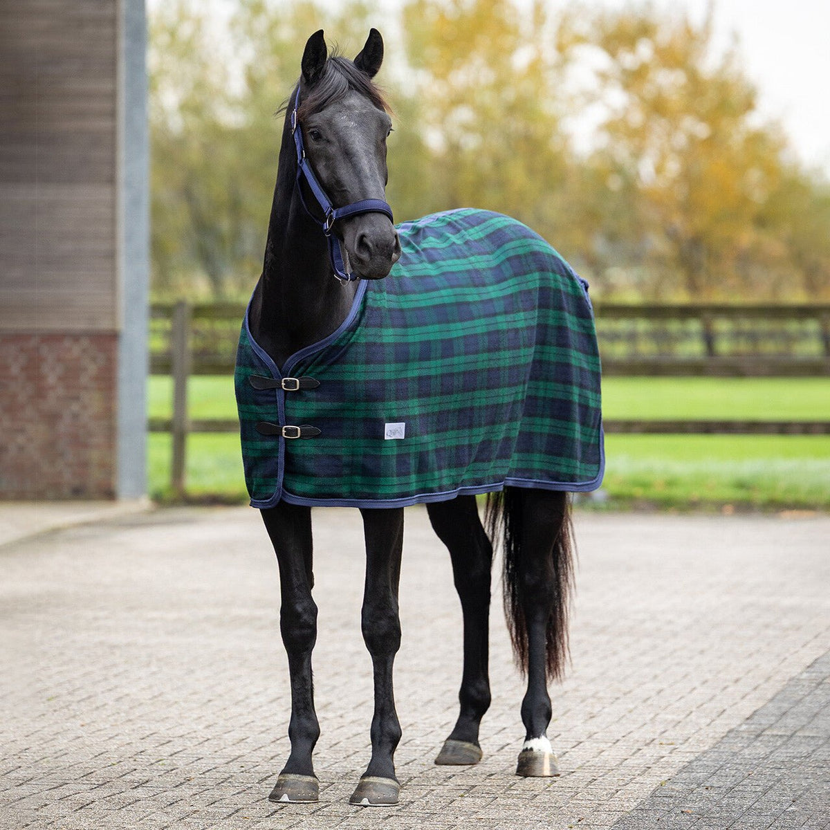 Check Wool Rug - Nags Essentials