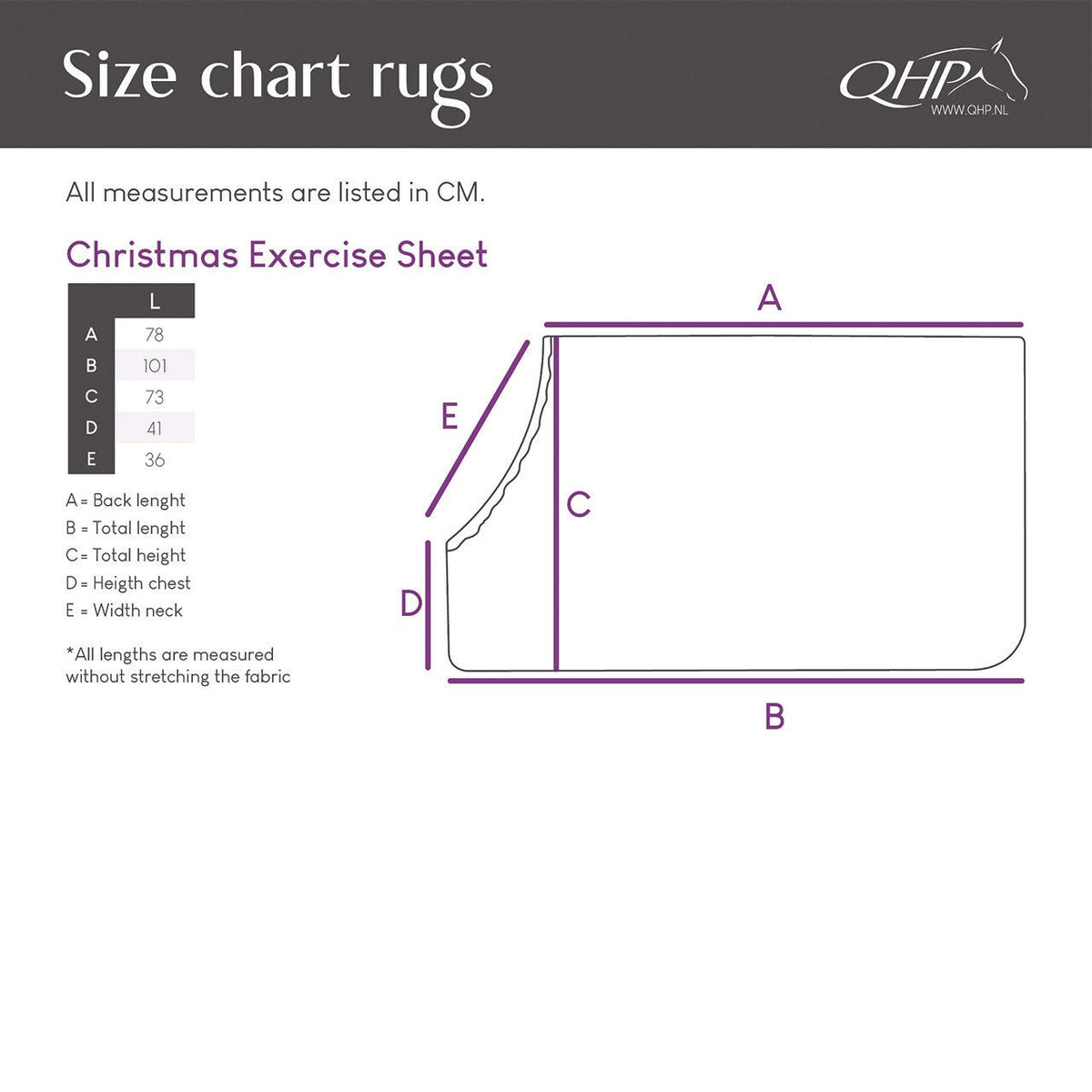 Christmas Exercise Sheet - Nags Essentials