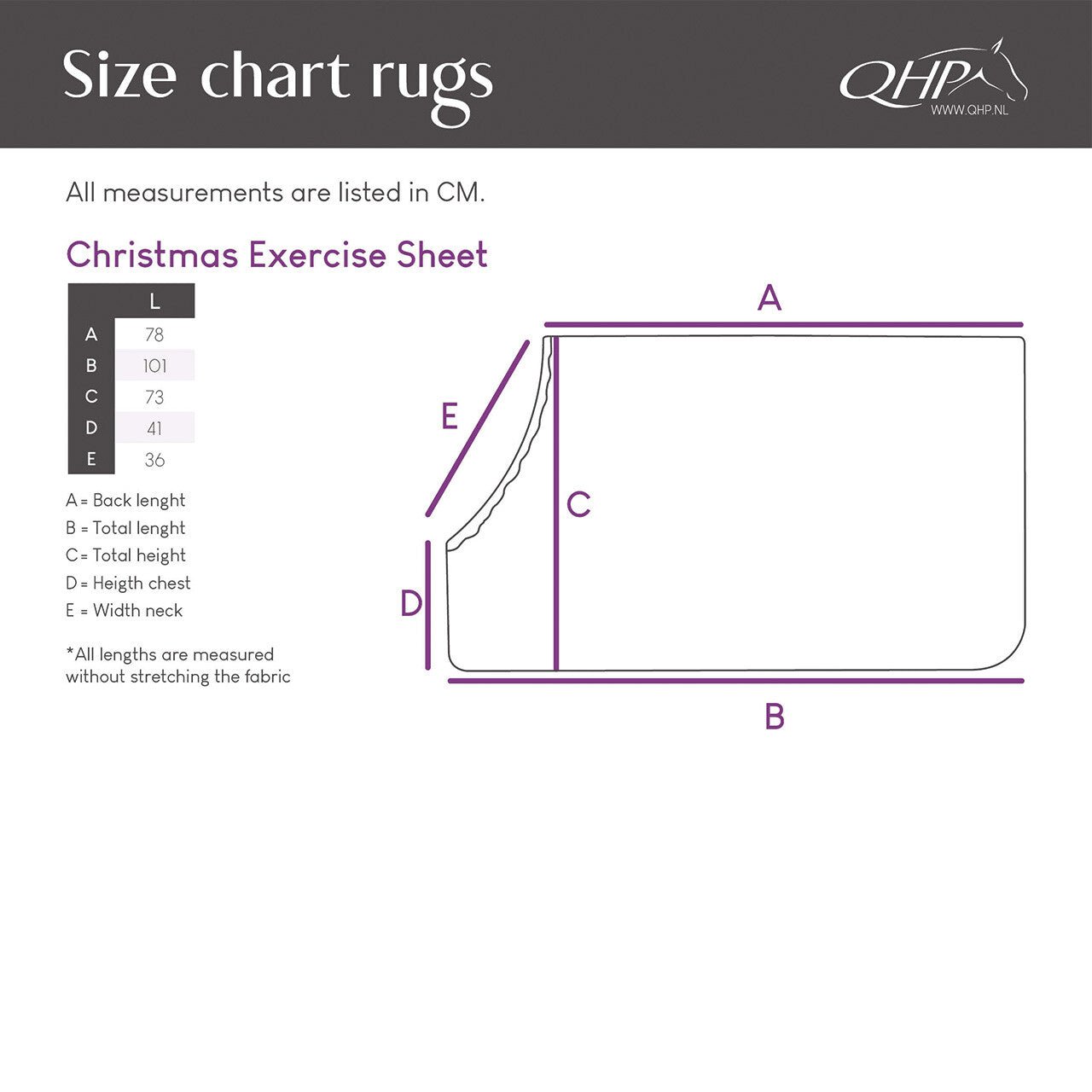 Christmas Exercise Sheet - Nags Essentials
