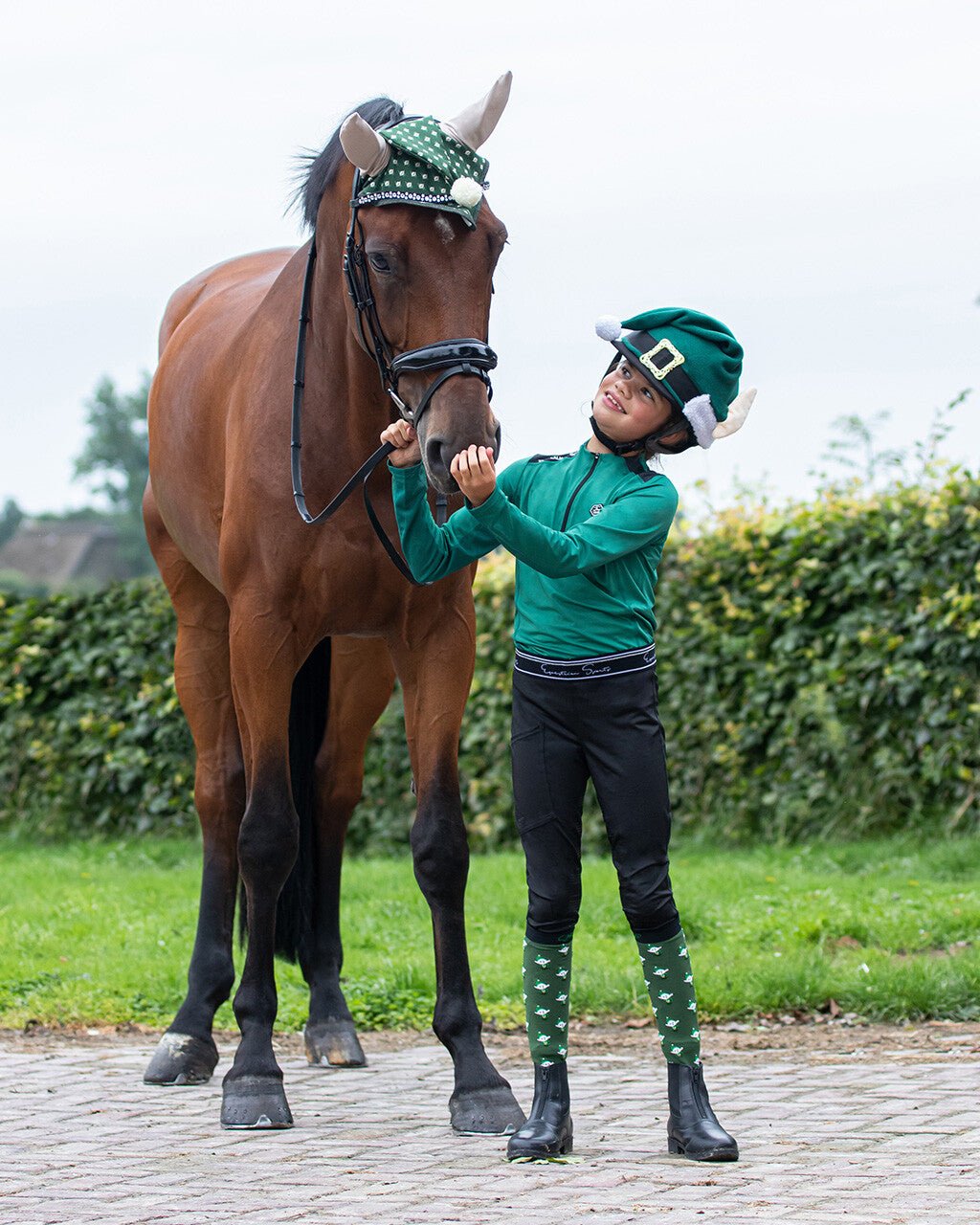 Christmas Hat Cover - Nags Essentials