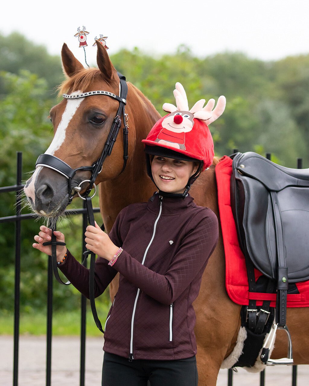 Christmas Hat Cover - Nags Essentials
