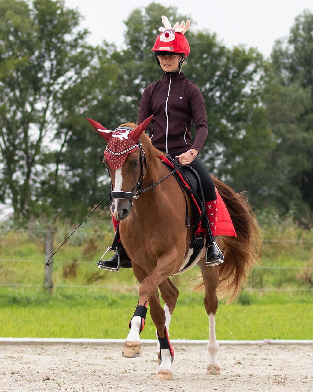 Christmas Hat Cover - Nags Essentials