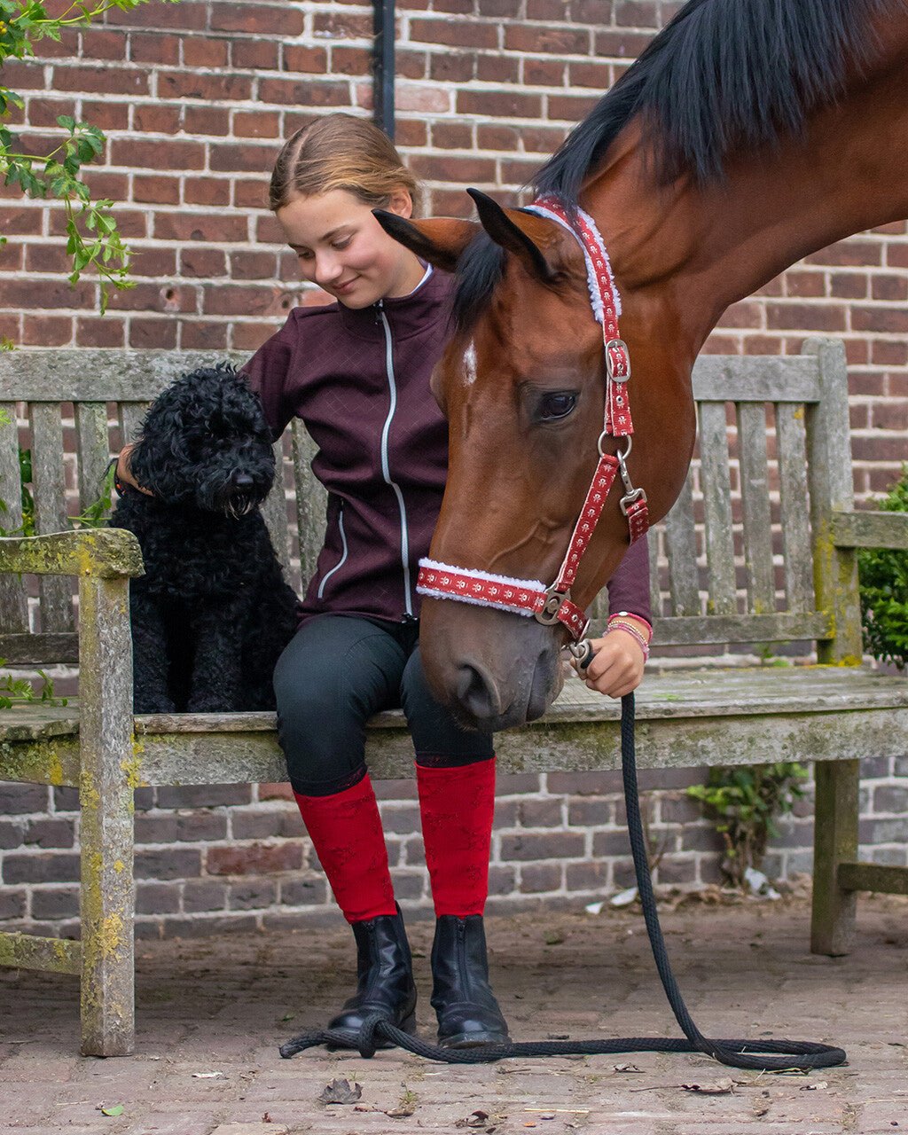 Christmas Headcollar - Nags Essentials