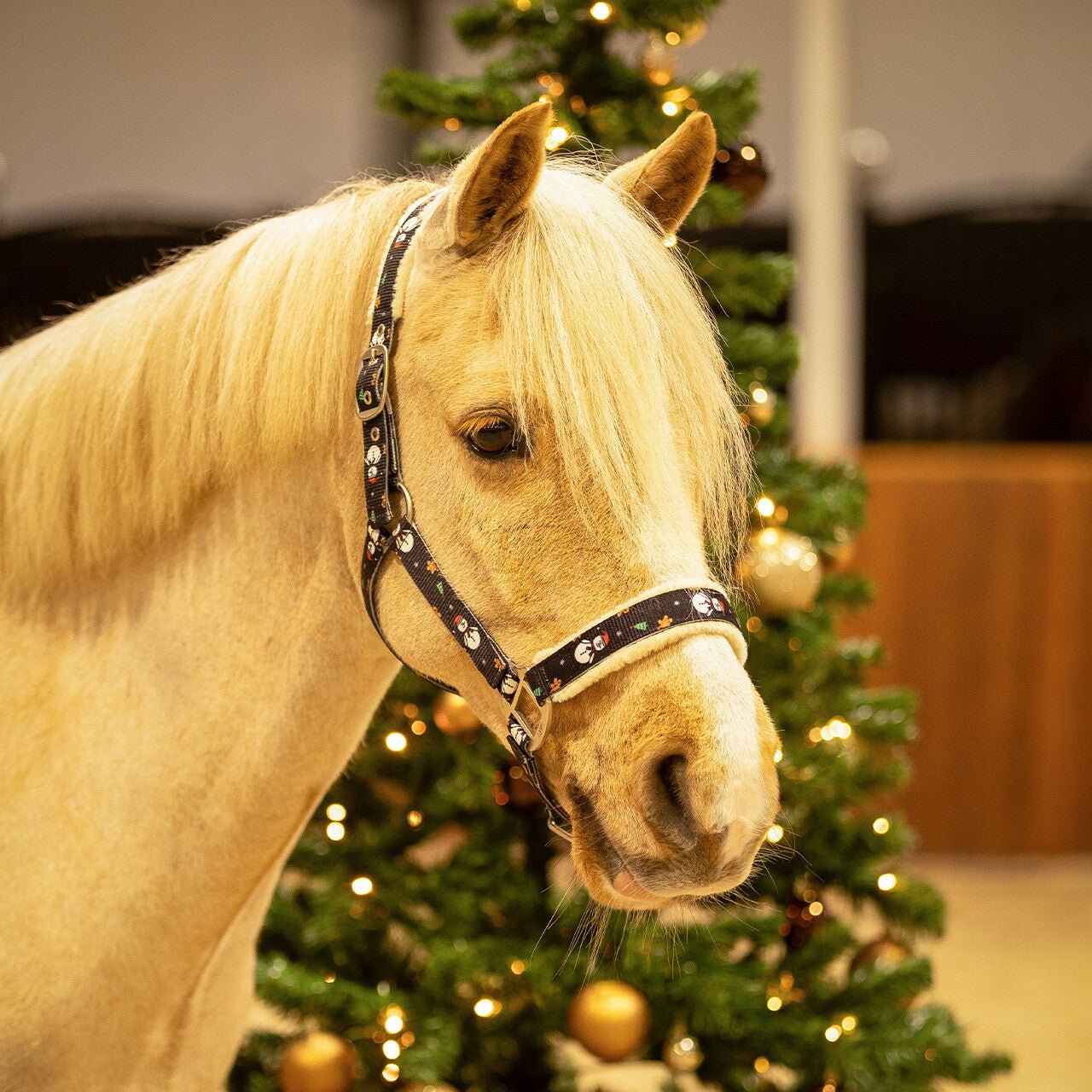 Christmas Headcollar - Nags Essentials