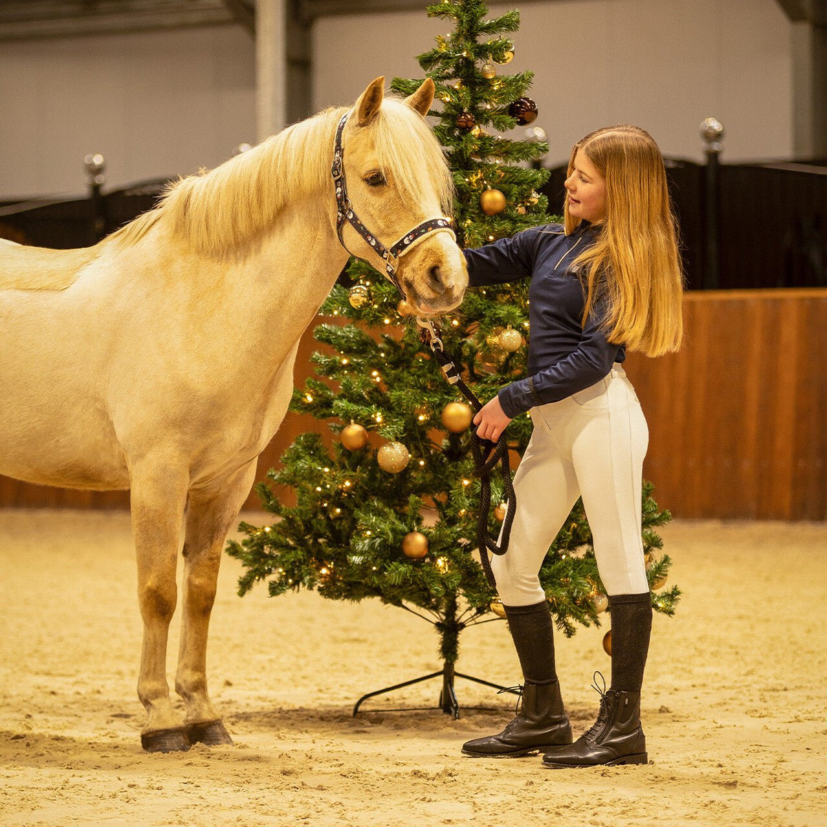 Christmas Headcollar - Nags Essentials