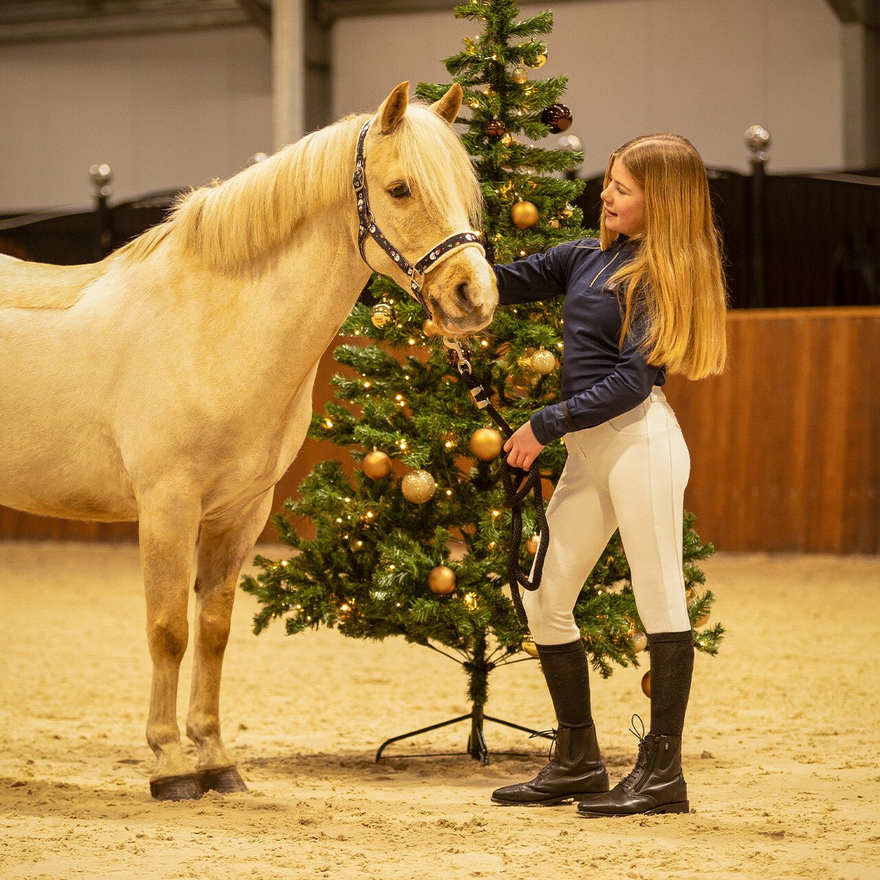 Christmas Headcollar - Nags Essentials