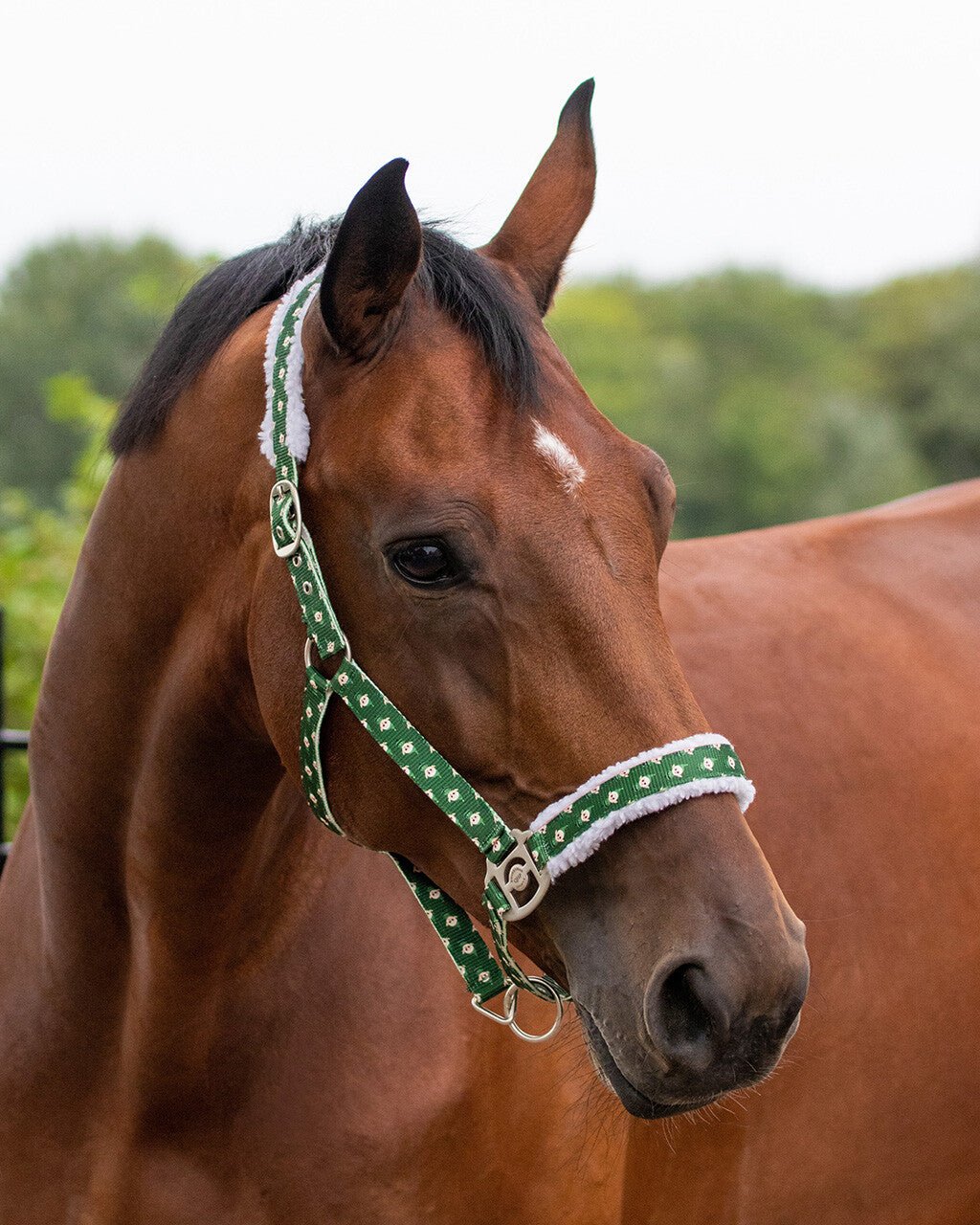 Christmas Headcollar - Nags Essentials