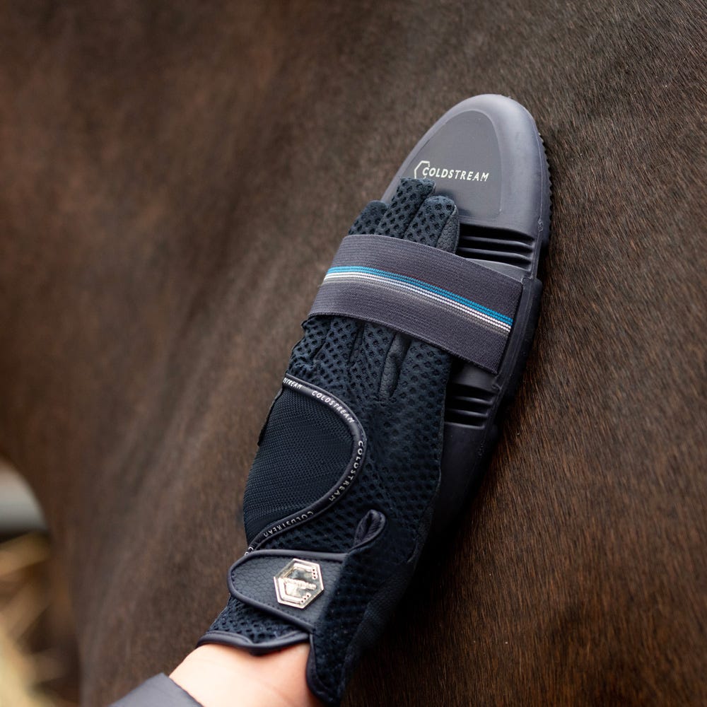 Coldstream Birkhill Bend Curry Comb - Nags Essentials