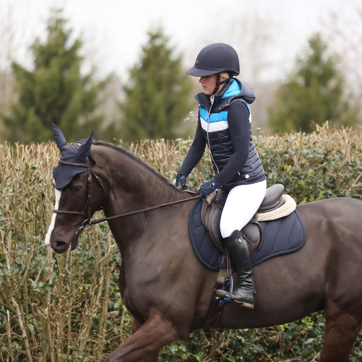 Coldstream Edrom Close Contact Saddle Pad - Nags Essentials