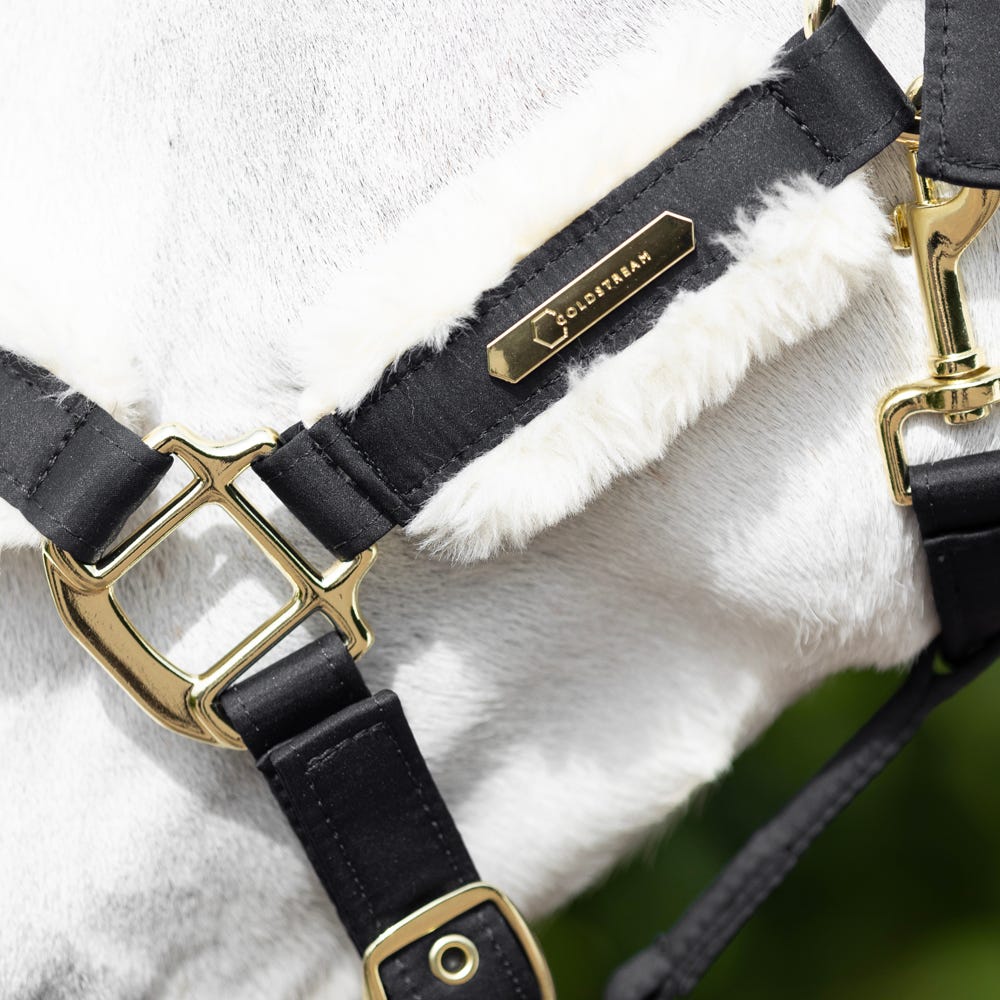 Coldstream Langlee Luxury Head Collar & Lead Rope - Nags Essentials